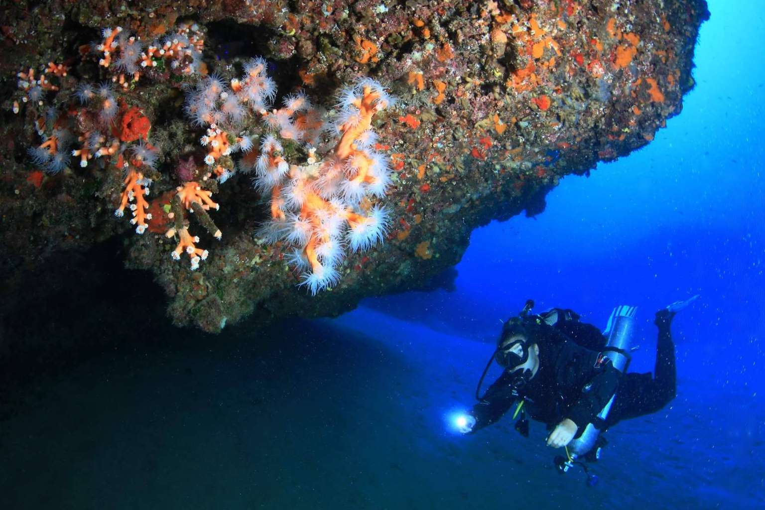 Lanzarote, uno de los mejores destinos para los amantes del buceo